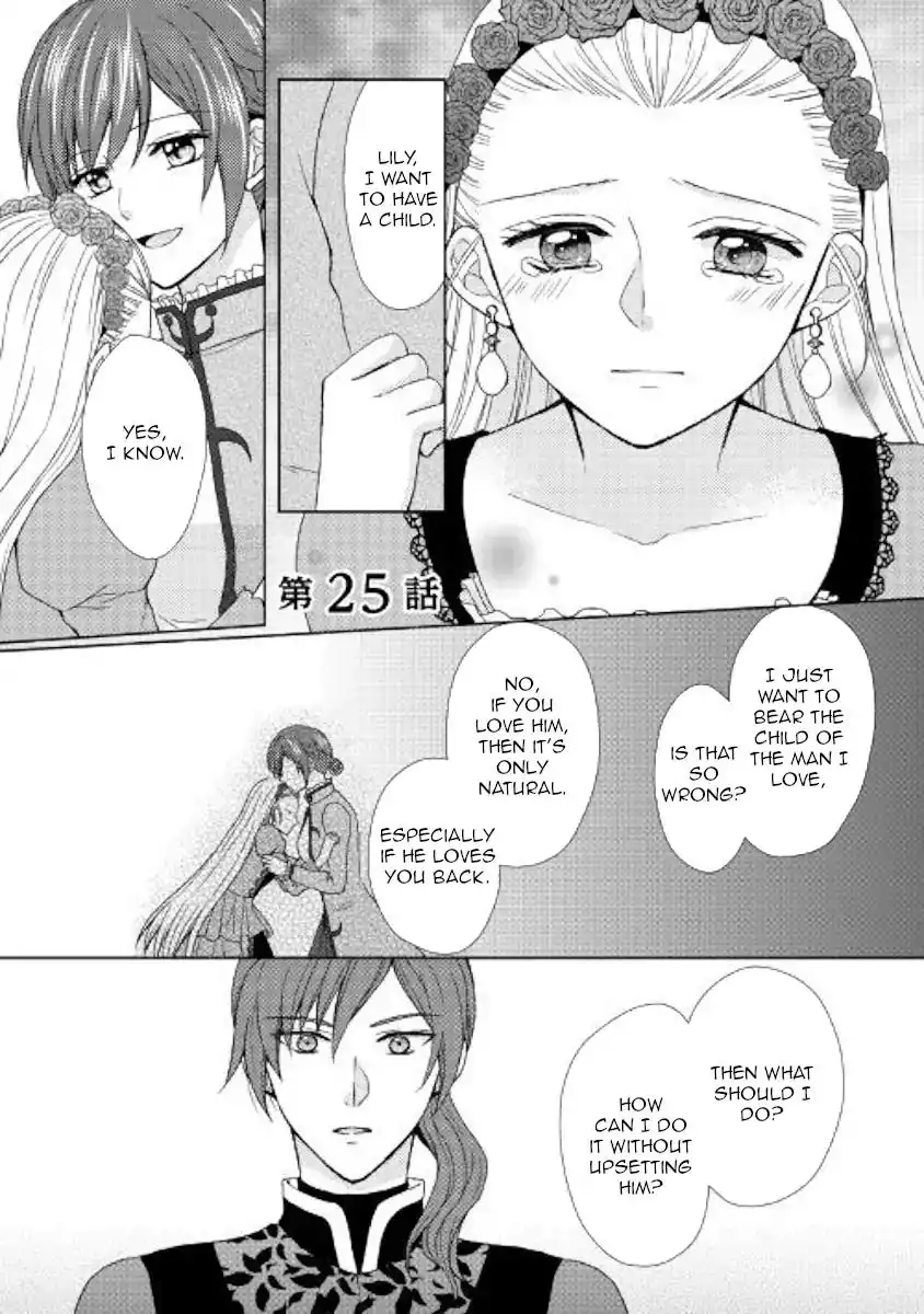 From Maid to Mother Chapter 25 1